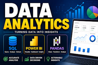 do statistical data analysis and data visualization