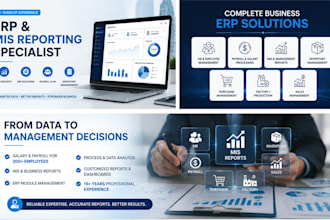 provide erp mis reporting payroll and IT support