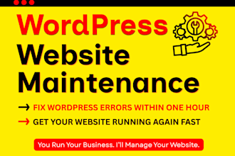 provide professional wordpress management and maintenance