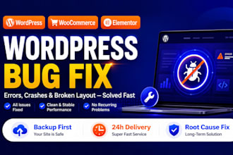 fix wordpress issues, bugs,errors, css,php, wp help