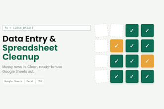 do accurate data entry and spreadsheet cleanup