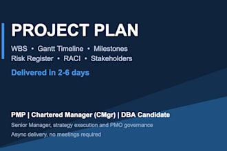 create a professional project plan with wbs, gantt timeline and risk register