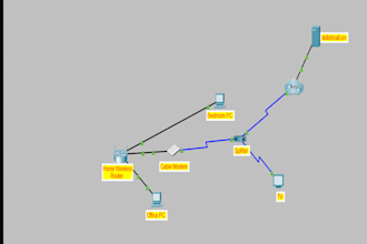 provide remote IT and network troubleshooting support