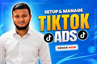 run tiktok ads campaign, advertising, fb, tiktok, marketing