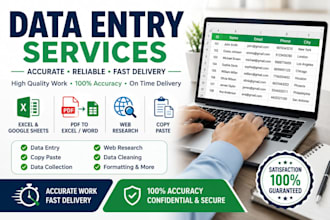 do professional data entry, excel, web research and copy paste