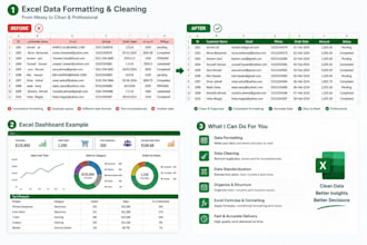 do professional excel data formatting and cleaning