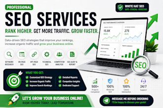 provide professional SEO services for higher rankings