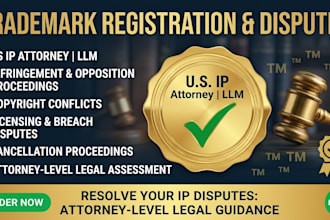 be your attorney for IP, copyright and trademark disputes