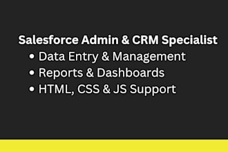 be your salesforce admin crm specialist and data entry expert