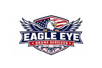 make incredible wonderful eagle and drone logo for your company