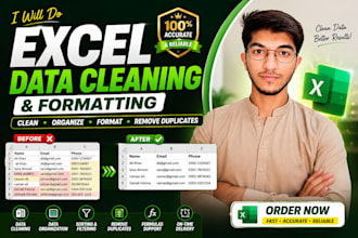 clean, format and organize excel data