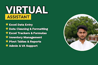 do excel data entry and virtual assistant tasks