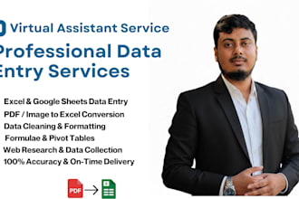 data entry, PDF to excel and data conversion