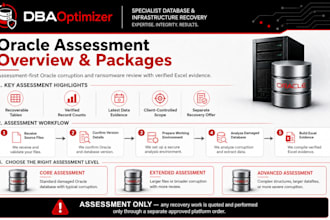 assess damaged oracle databases and provide technical recovery evidence