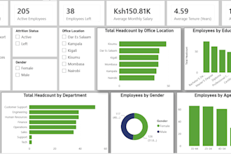 use microsoft excel to clean, organize, analyze, and report