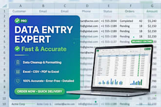 do data entry, excel data entry, copy paste and web research