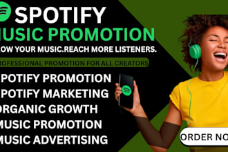 promote a professional spotify music promotion