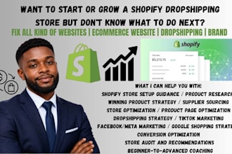 be your shopify dropshipping mentor, ecommerce dropshipping consultants