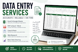 do accurate data entry and excel work