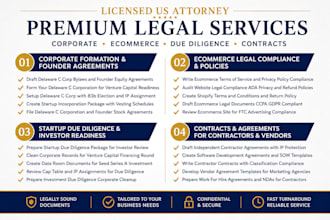 form your delaware c corp and draft founder equity agreements as a USA attorney