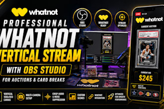 setup professional whatnot vertical stream with obs for auctions and card breaks