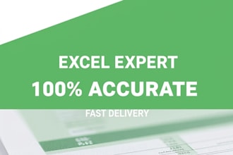 accurate data entry and excel sheet work