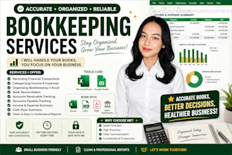 do bookeeping and accounting data entry in excel
