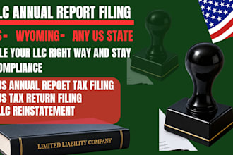 file boi US llc annual report tax return llc reinstatement US tax filings