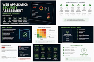 perform a web application security assessment