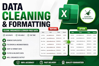 do data cleaning, formatting , and sorting in excel