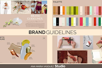 create professional brand guidelines and visual identity