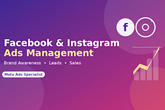 run facebook and instagram ads for brand awareness, leads, and sales