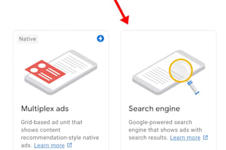 provide professional google adsense web