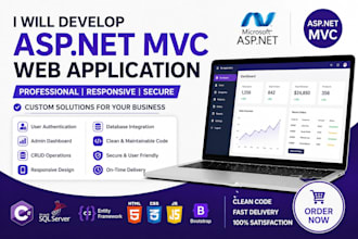 develop a professional asp net mvc web application