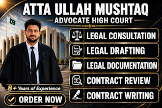 provide professional legal consultation and draft  documents