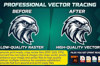 do accurate vector tracing ,logo vectorize ,image to vector