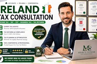 provide ireland tax consultation vat cct tax return  and business support
