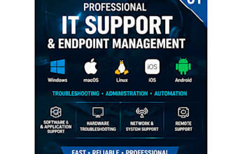 provide IT support and consultation