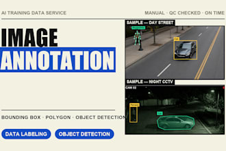 do image annotation, bounding box and data labeling for object detection