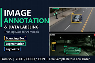 do image annotation and data labeling for ai