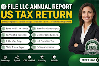file llc annual report and US tax return