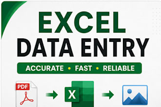 excel data entry, PDF to excel and excel formatting