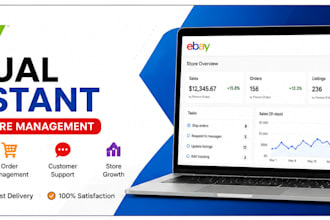 be your ebay virtual assistant for store management