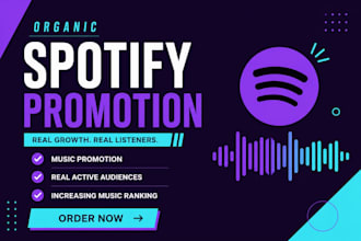 do organic spotify music promotion, spotify track promotion, spotify marketing