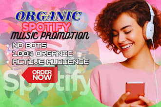 promote your song to targeted music blogs and spotify playlist curators