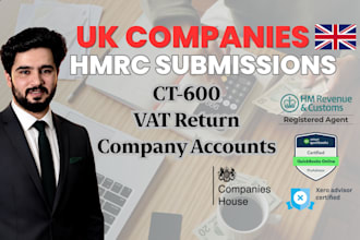 file UK company accounts, vat returns and ct600
