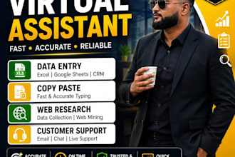 do professional data entry,copypaste and customer support