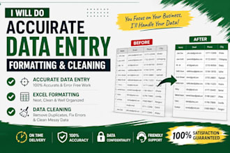 do accurate microsoft excel data entry, formatting and cleaning