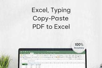 do accurate data entry, excel work, and copy paste typing