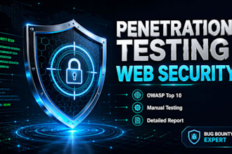 perform advanced website penetration testing